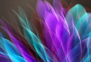 xóc đĩa di động Debet